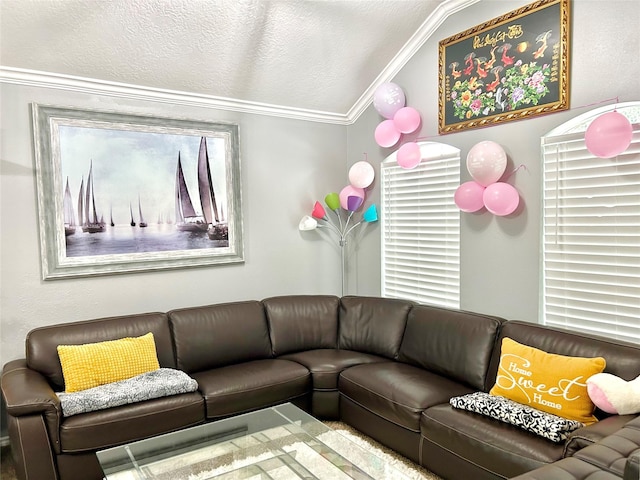 living area with lofted ceiling, ornamental molding, and a textured ceiling