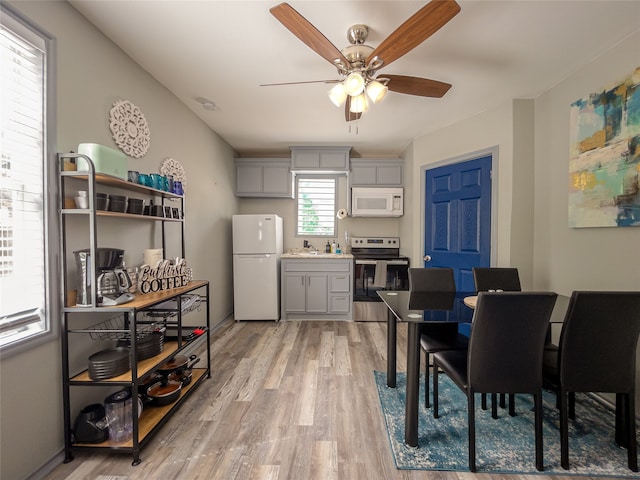 kitchen featuring gray cabinets, a ceiling fan, a sink, light wood-type flooring, and white appliances