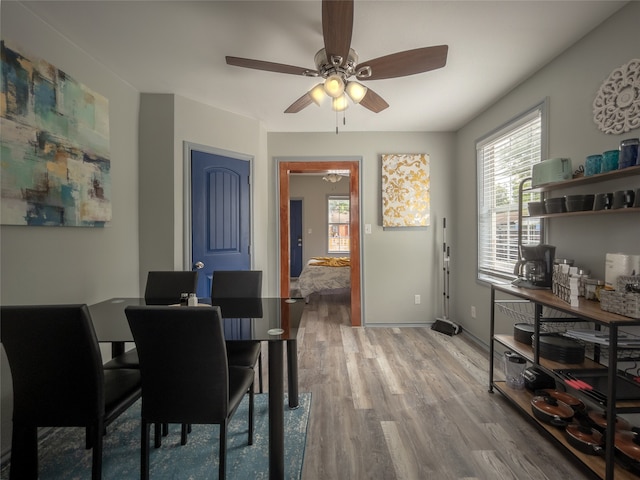 dining area featuring a ceiling fan, a wealth of natural light, and wood finished floors