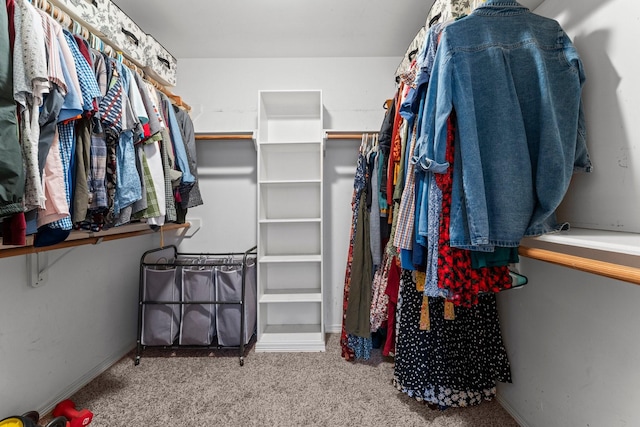 spacious closet featuring carpet floors