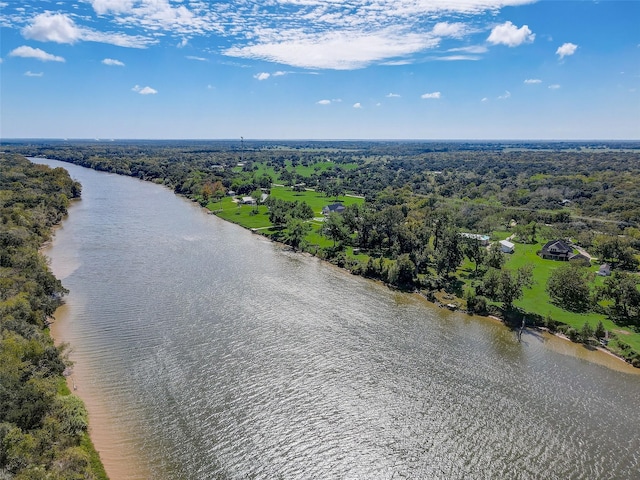 aerial view featuring a water view and a forest view