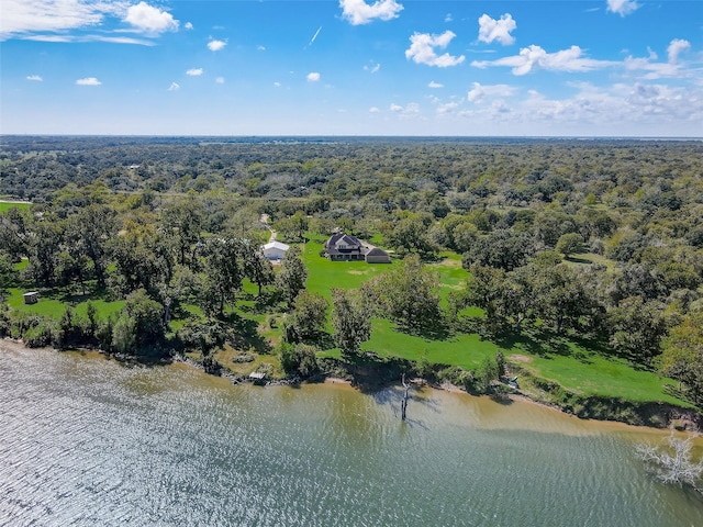 aerial view featuring a water view and a view of trees