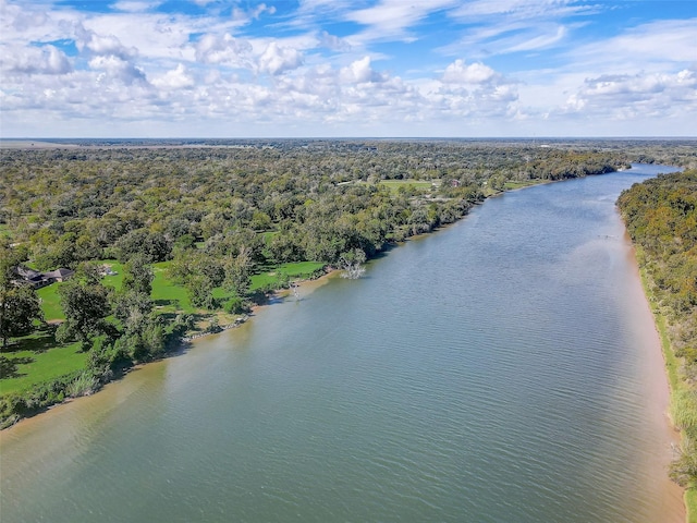 aerial view featuring a water view and a wooded view