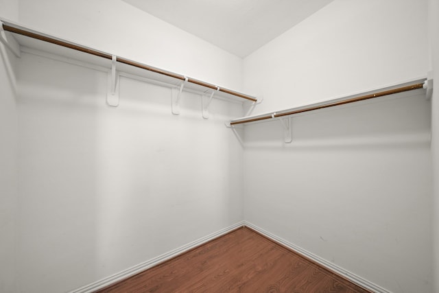 walk in closet featuring wood finished floors