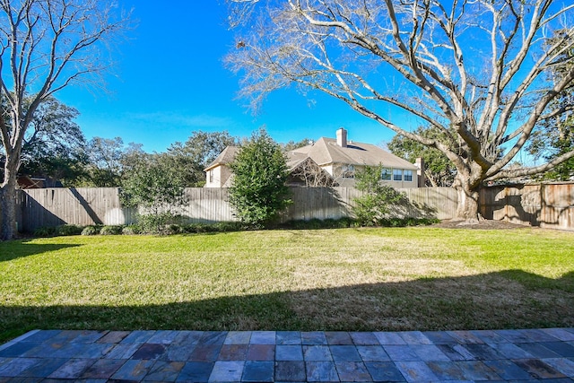 view of yard with a fenced backyard