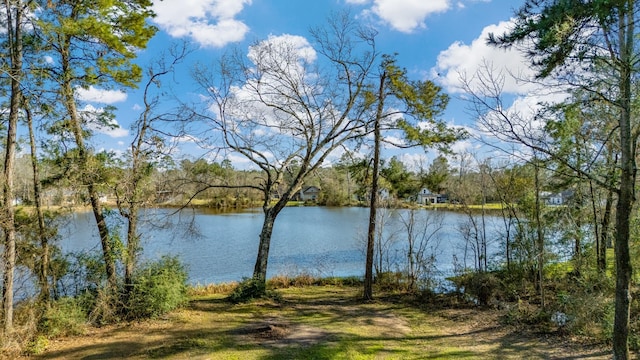 property view of water