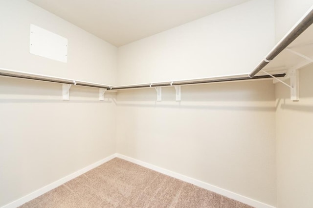 walk in closet featuring light colored carpet