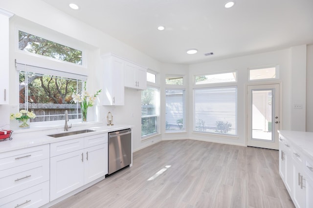 kitchen featuring light wood-style floors, a wealth of natural light, a sink, and stainless steel dishwasher