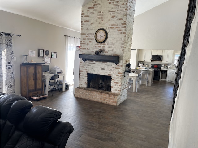 living area featuring high vaulted ceiling, dark wood-style flooring, and a fireplace