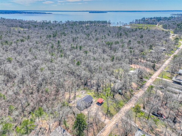 aerial view with a water view and a view of trees