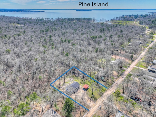 aerial view featuring a water view and a wooded view