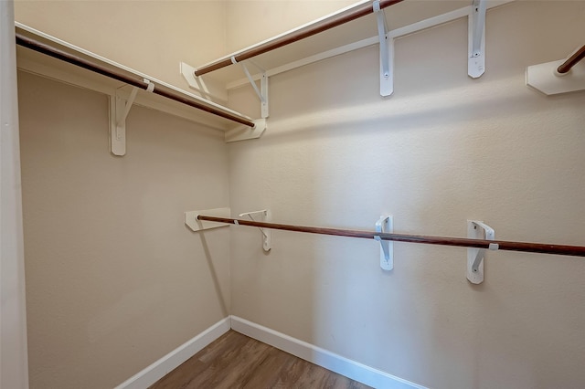 walk in closet featuring wood finished floors