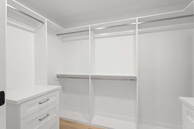 spacious closet with light wood-type flooring