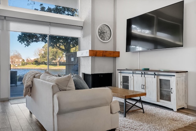 living room with baseboards and wood finished floors