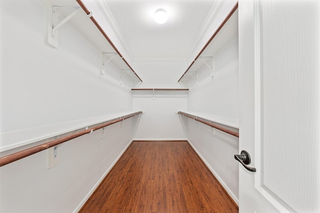 spacious closet featuring attic access and wood finished floors