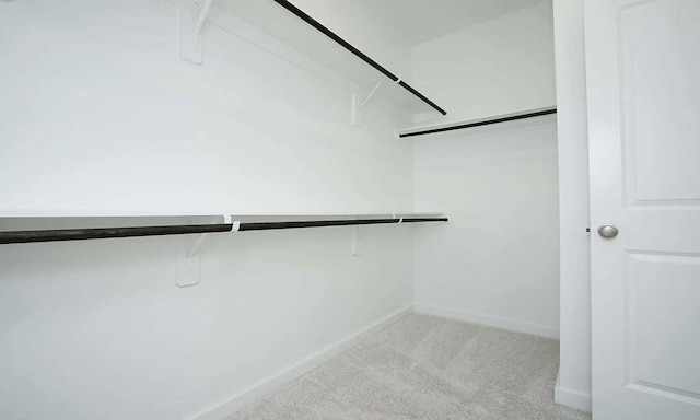 walk in closet featuring light carpet