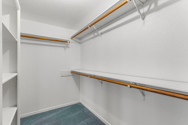 spacious closet featuring dark carpet