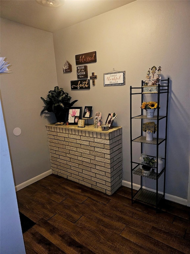 interior details with baseboards and wood finished floors