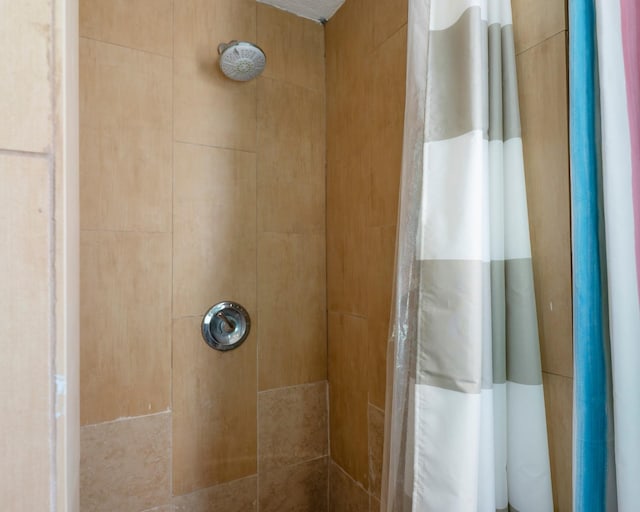 1821 County Road 201, Sargent, TX 77414 - bathroom with tiled shower