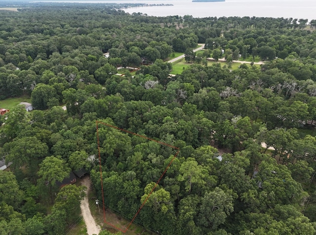 TBD Mossy Dr, Livingston TX, 77351 land for sale