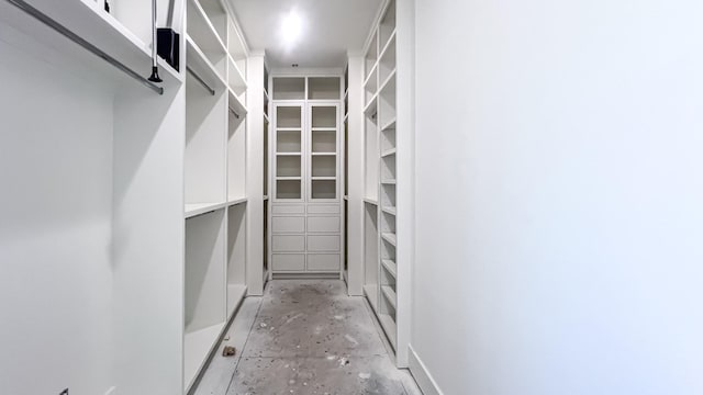 view of walk in closet