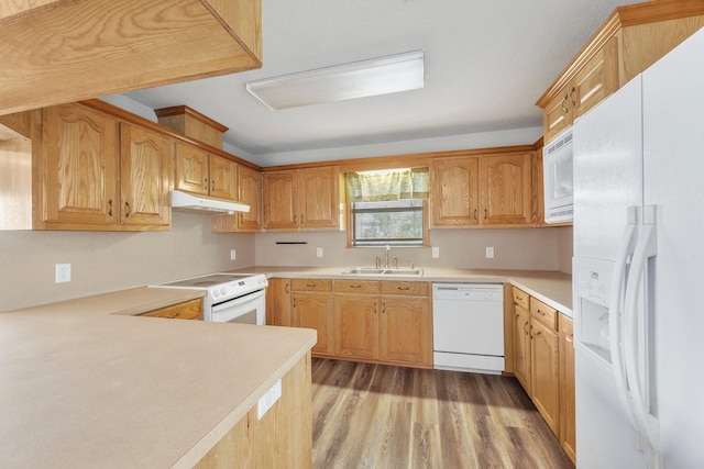 kitchen featuring light wood-style flooring, under cabinet range hood, white appliances, a sink, and light countertops