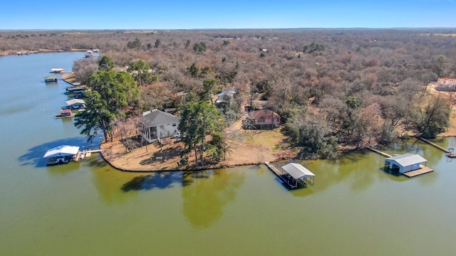 aerial view featuring a water view and a view of trees