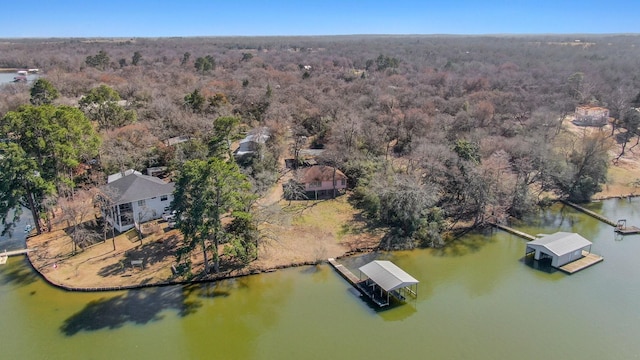 aerial view featuring a water view and a view of trees