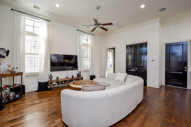 living area with ceiling fan, dark wood-style flooring, visible vents, and crown molding