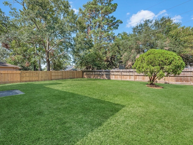 view of yard with a fenced backyard