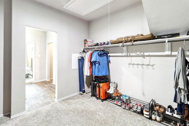 walk in closet featuring carpet flooring and attic access