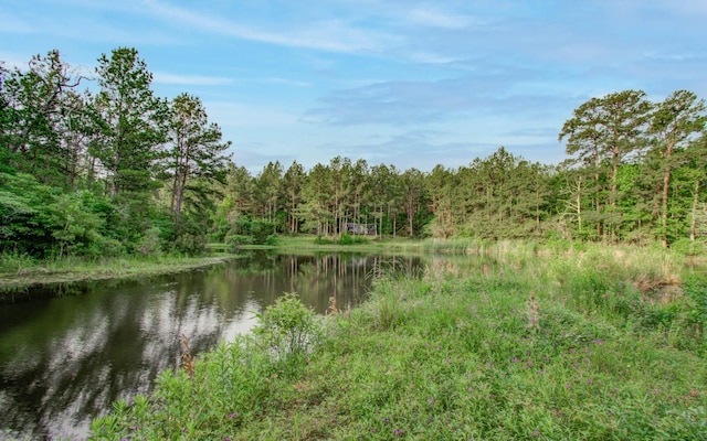 0 Winters Ranch Rd, New Waverly TX, 77358 land for sale