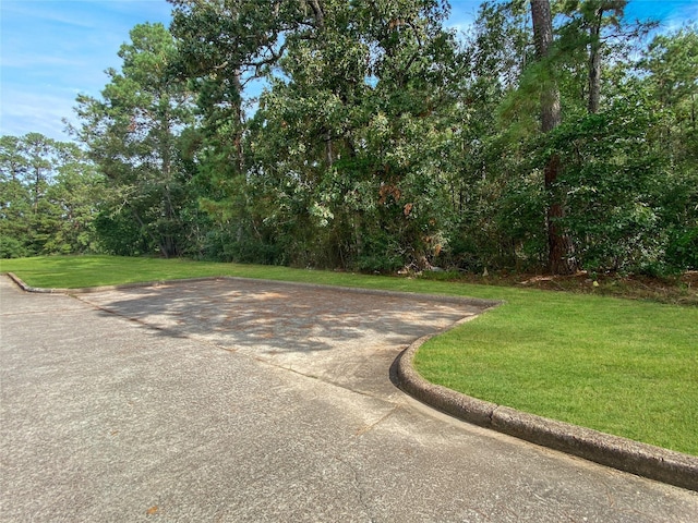 16235 Golf Club Dr, Crosby, TX 77532 - photo 19