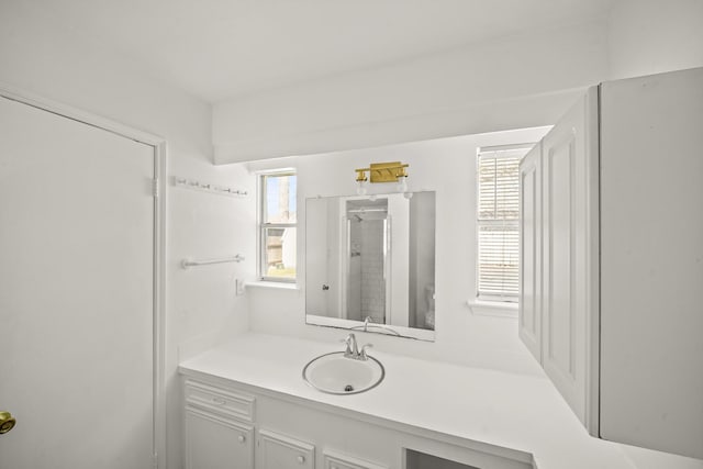 bathroom featuring a stall shower, a wealth of natural light, and vanity