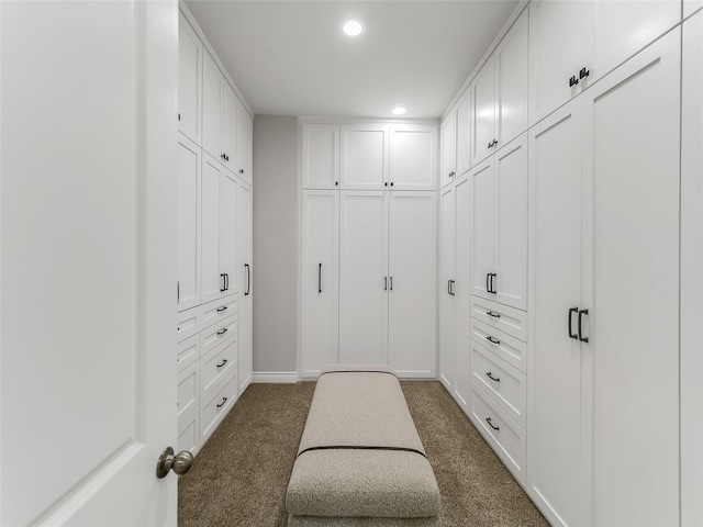 walk in closet with dark colored carpet