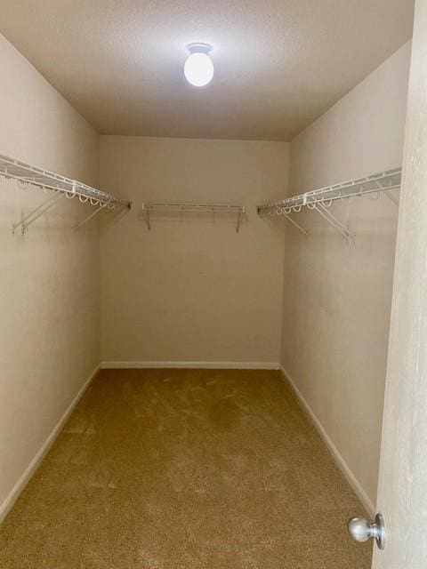 spacious closet with carpet floors