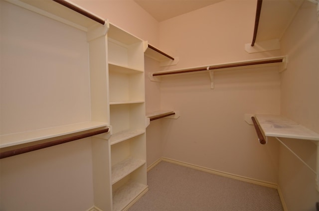 walk in closet with carpet floors