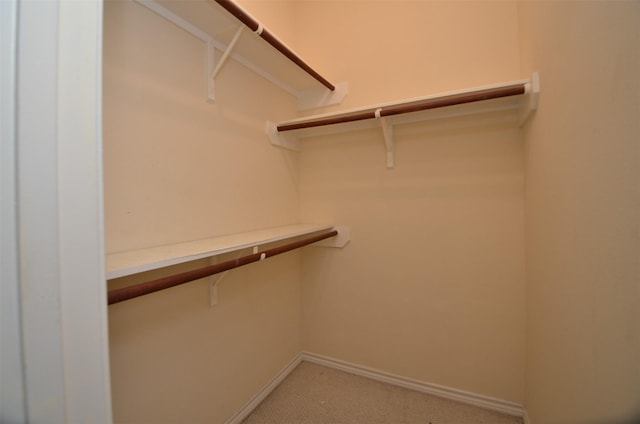 walk in closet with light colored carpet