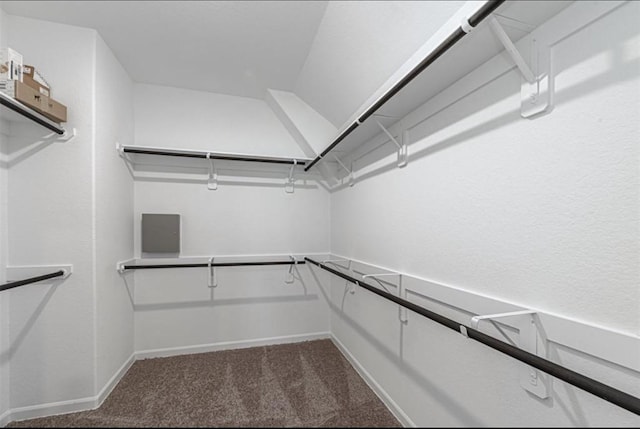 walk in closet with carpet