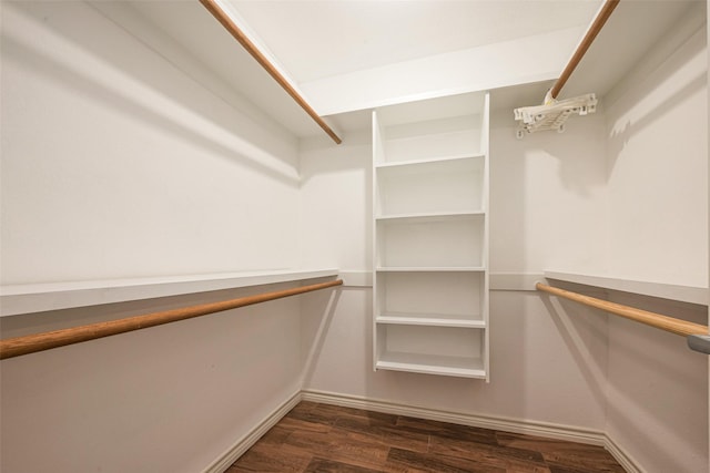 walk in closet with dark wood-style flooring