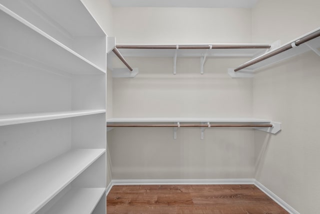 spacious closet featuring wood finished floors