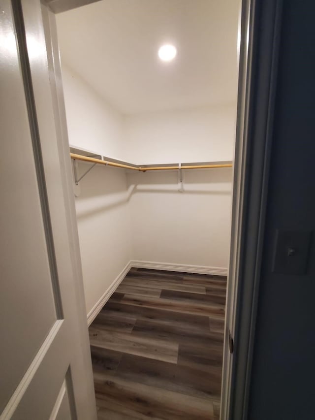 spacious closet with dark wood-style floors