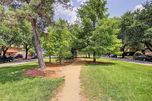 view of home's community with a lawn