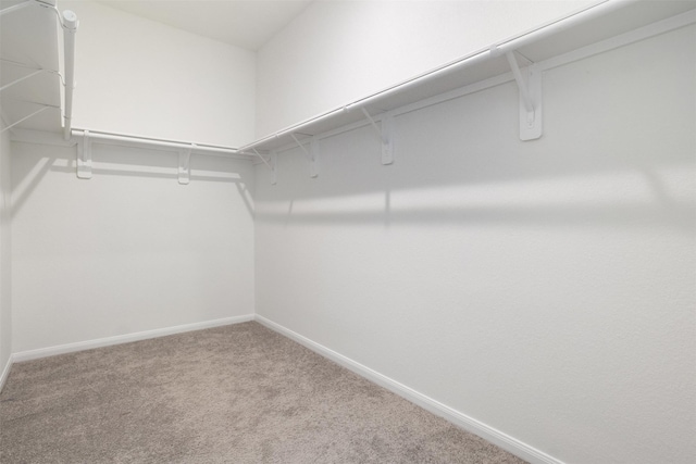 walk in closet featuring carpet