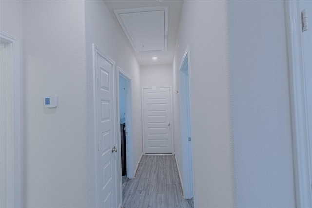 hall featuring light wood-type flooring and attic access