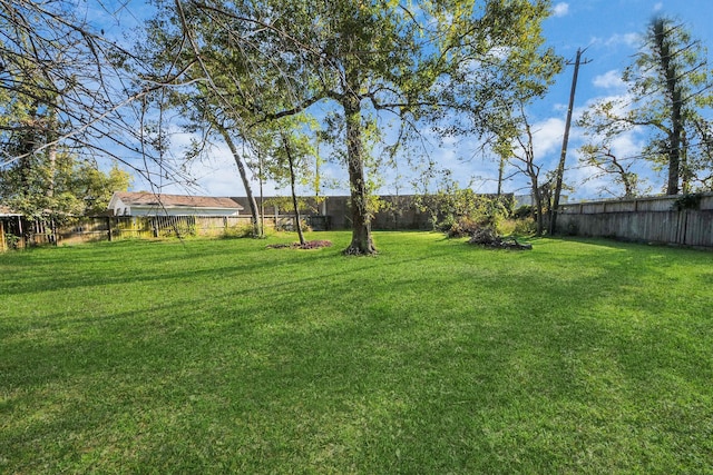 view of yard with a fenced backyard