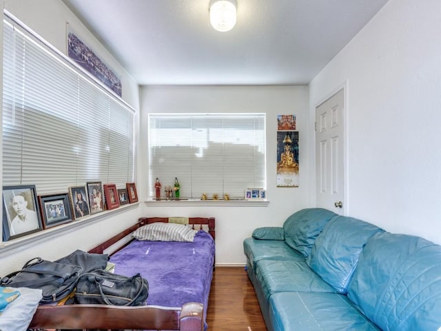 living room featuring wood finished floors