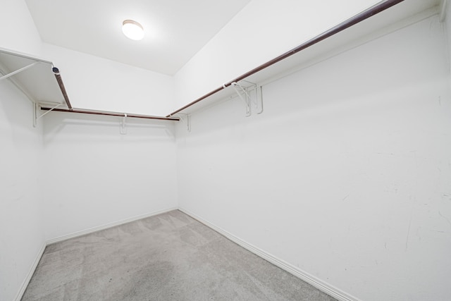 spacious closet featuring light colored carpet