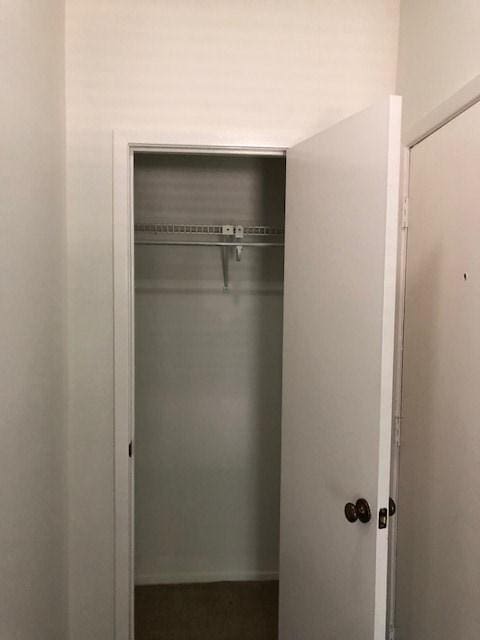 view of closet