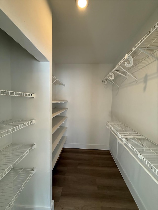 walk in closet featuring dark wood finished floors